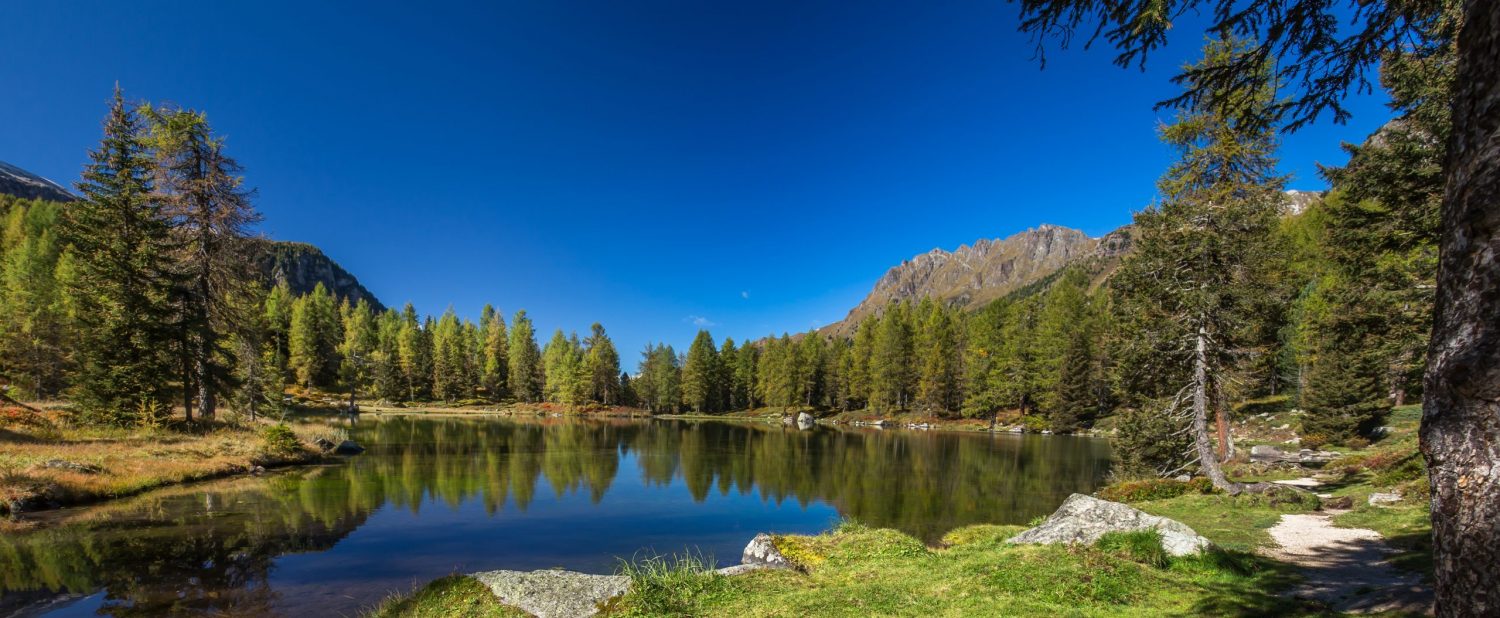 Adirondack Shopping Outlet Factory Tours ADK Gift Store